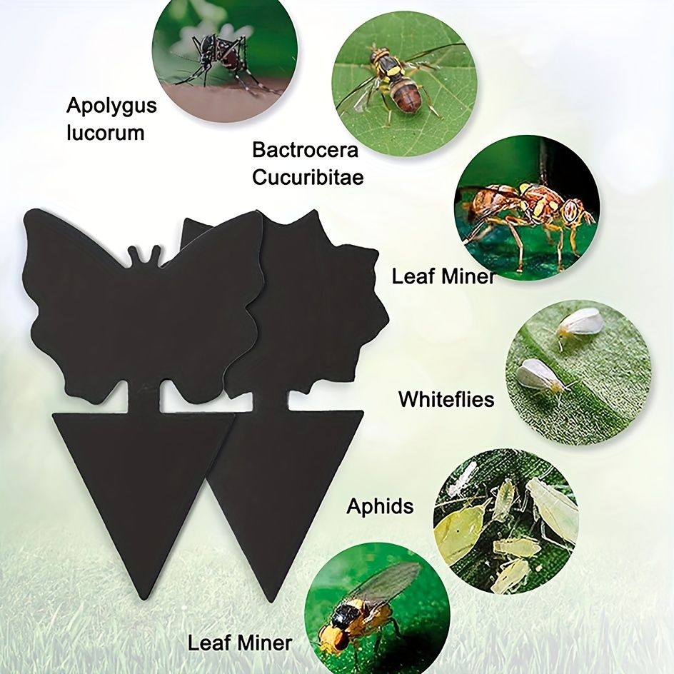 Trampa para moscas adhesiva negra, trampas para insectos, atrapamoscas de doble cara, Control de plagas de plantas, pegamento fuerte para afidas y mosquitos, 12/24 Uds.