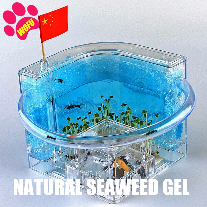 WOFUWOFU Lnsect Hotel，Ant Farm，Ant Glow Ocean View Villa Big Ants House Ant Nest Villa Insect Pet Anthill: blue
