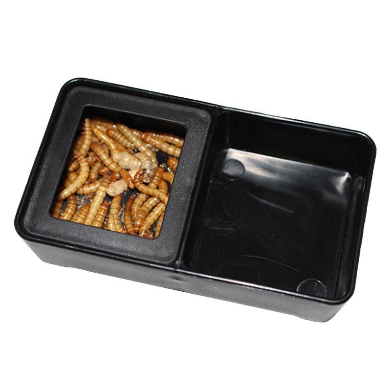 Terrario de caja de comida de agua de plástico negro para alimentar a las tortugas de insectos