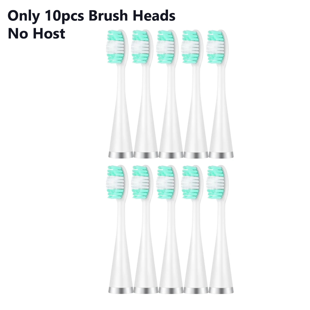 Détartreur dentaire sonique électrique, brosse à dents étanche, 8 pièces, têtes de brosse de remplacement, blanchiment des dents, Plaque dentaire, dissolvant de tartre, nettoyeur de dents: Bleu