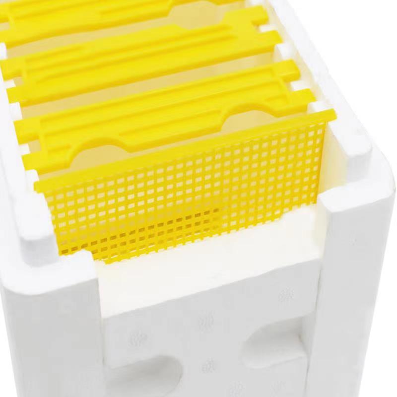 Mini Poly Beehive Harvest Bee Box Queen Pollination Beekeeping for Bee Mating Copulation Queen Rearing Beehive Feeder Movable