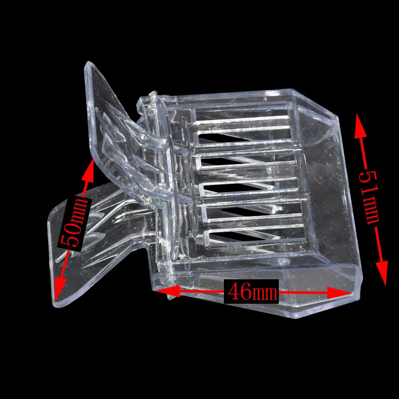 Cage à Clip pour abeilles, 2 pièces, pince pour abeilles, ruche, miel, reine, outils pour apiculteur