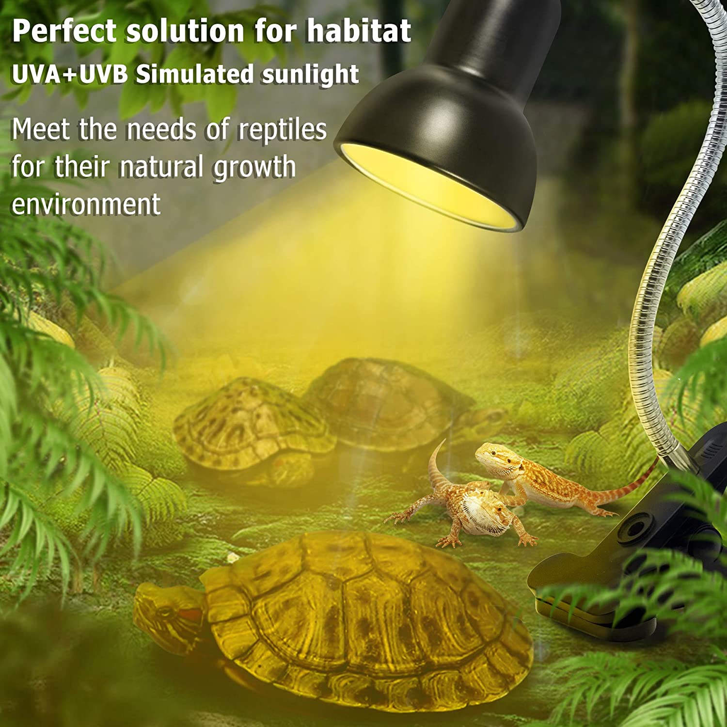 BENE Reptile Heating Basking Lamp, Bearded dragon Fixture Brooder for Aquatic Turtles Tortoise Snake Lizards Terrarium Amphibian