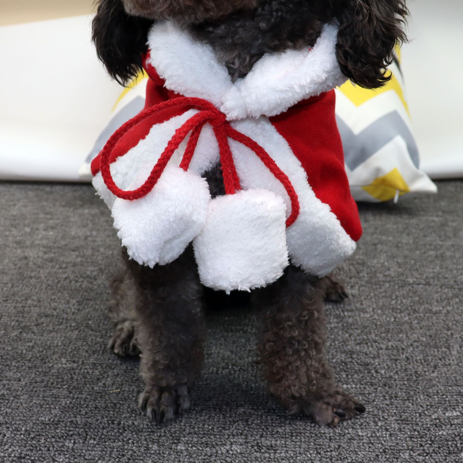 Hund kat tørklæde kasket kappe pandebånd sæt julefest vintertøj