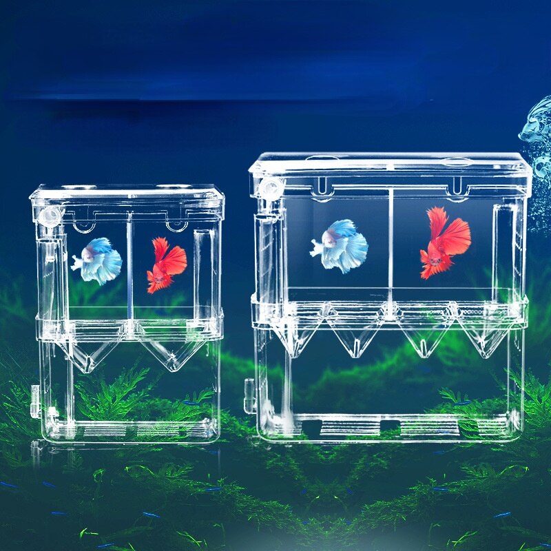 Acrylic Isolation Box Fish and Shrimp Breeding Box Small Fish Spawning Hatching Room Acrylic Fish Tank Is Safe and Permeable