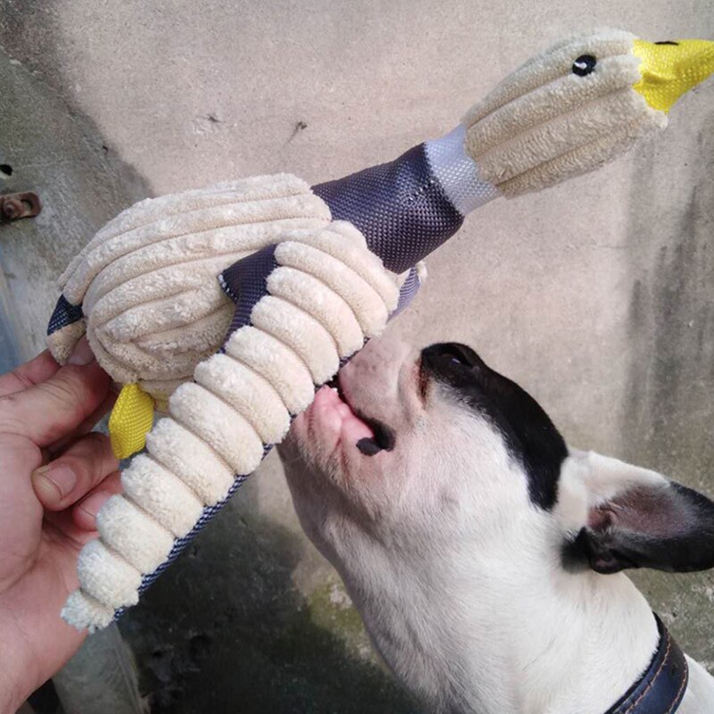 Teeth Cleaning Pet Dog Chew Toys for Small Medium Dogs French Bulldog Pug Squeaky Puppy Cat Plush Toy masoctas Shop Accessorios