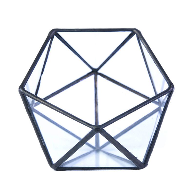 verre Terrarium boîte de rangement porte-bijoux, verre géométrique Terrarium table succulente plante boîte planteur support: Black