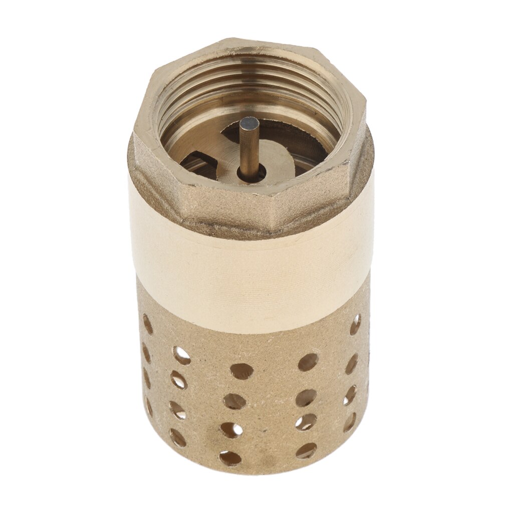 Brass In-Line Check Valve with Strainer 1 inch, Easy to Install