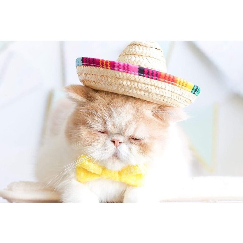Kjæledyr stråhatt sombrero lue meksikanske hatter dekorativ festhatt for katt hund små kjæledyr hunder hawaii stil lue for hunder tilbehør