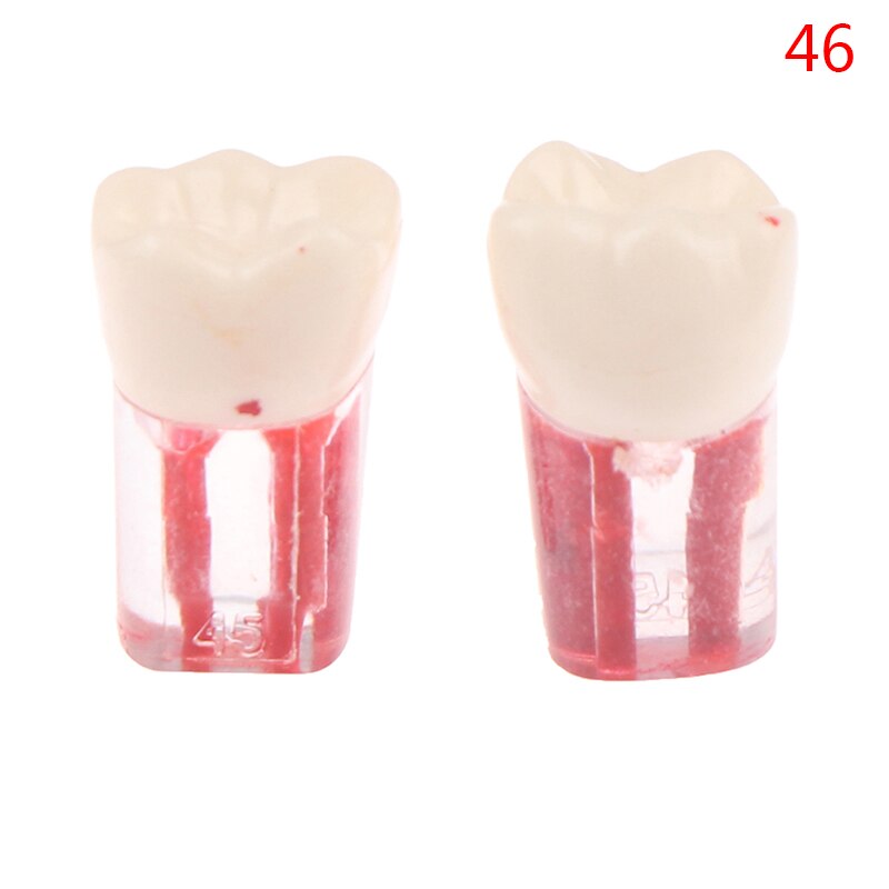 2 uds. De resina endodoncia Dental, modelo de diente Endo, limas de conducto radicular, práctica de pulpa: N46