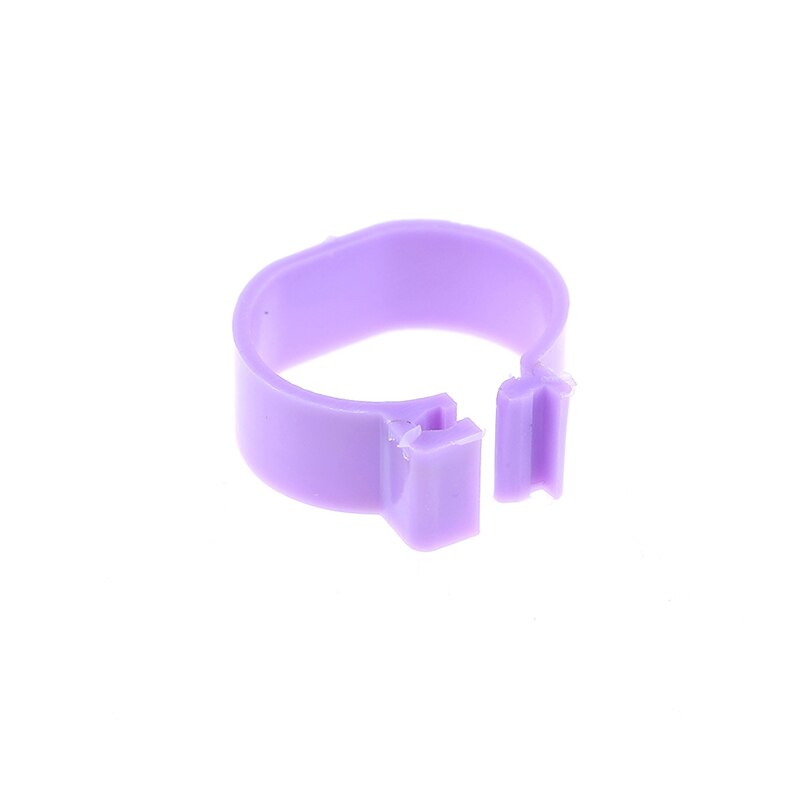 Anneau intérieur de poulet, 2.0 Cm de diamètre, pour patte de poule, Pigeon, volaille, oiseaux caille, poussins, canard, perroquet, 20 pièces: Purple