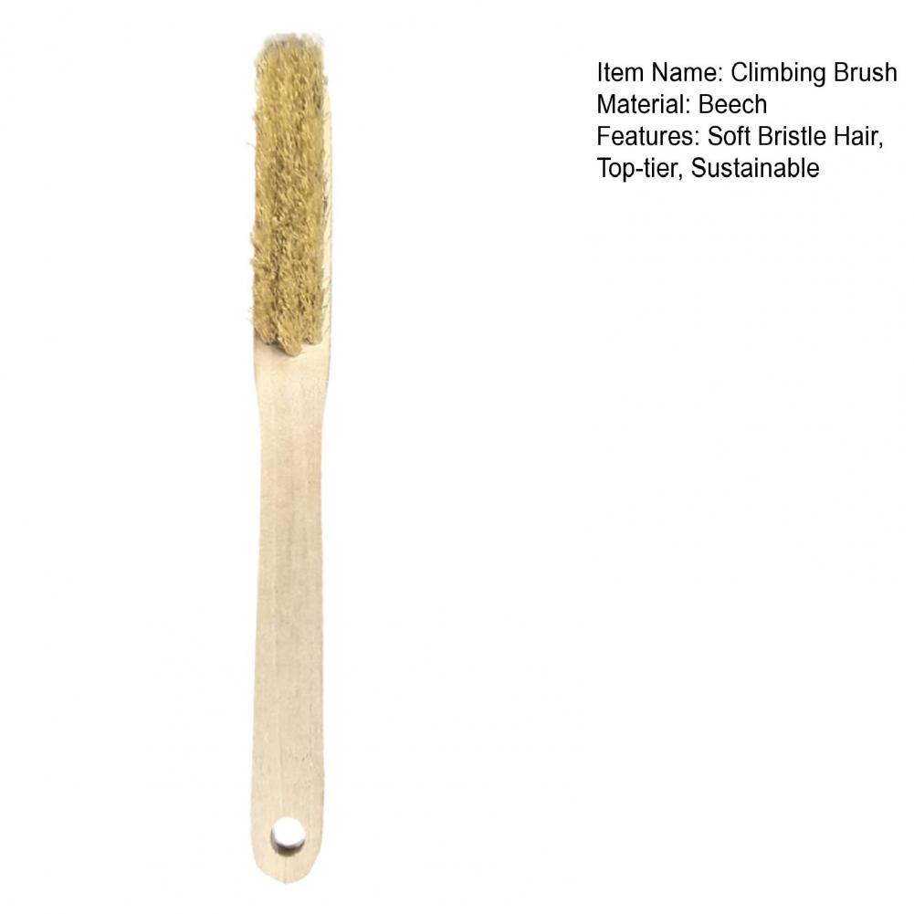 Brosse d'escalade 2 en 1, brosse à poils souples avec manche en bois de hêtre, dissolvant de callosités, brosse à poils de sanglier pour l'escalade