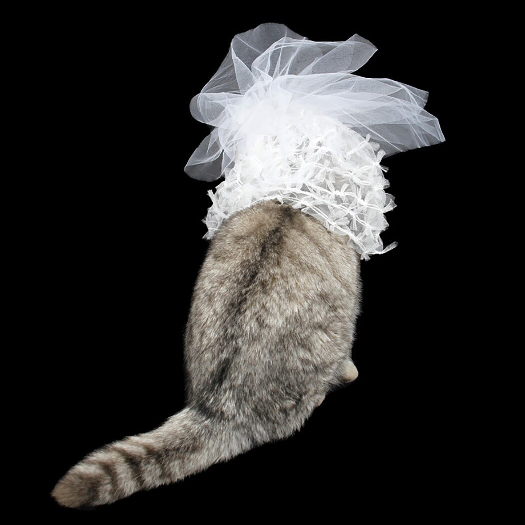 Bandana de lujo para perro, velo de encaje para boda, disfraz de novia, Boutique, cachorro, gato, aseo de mascotas