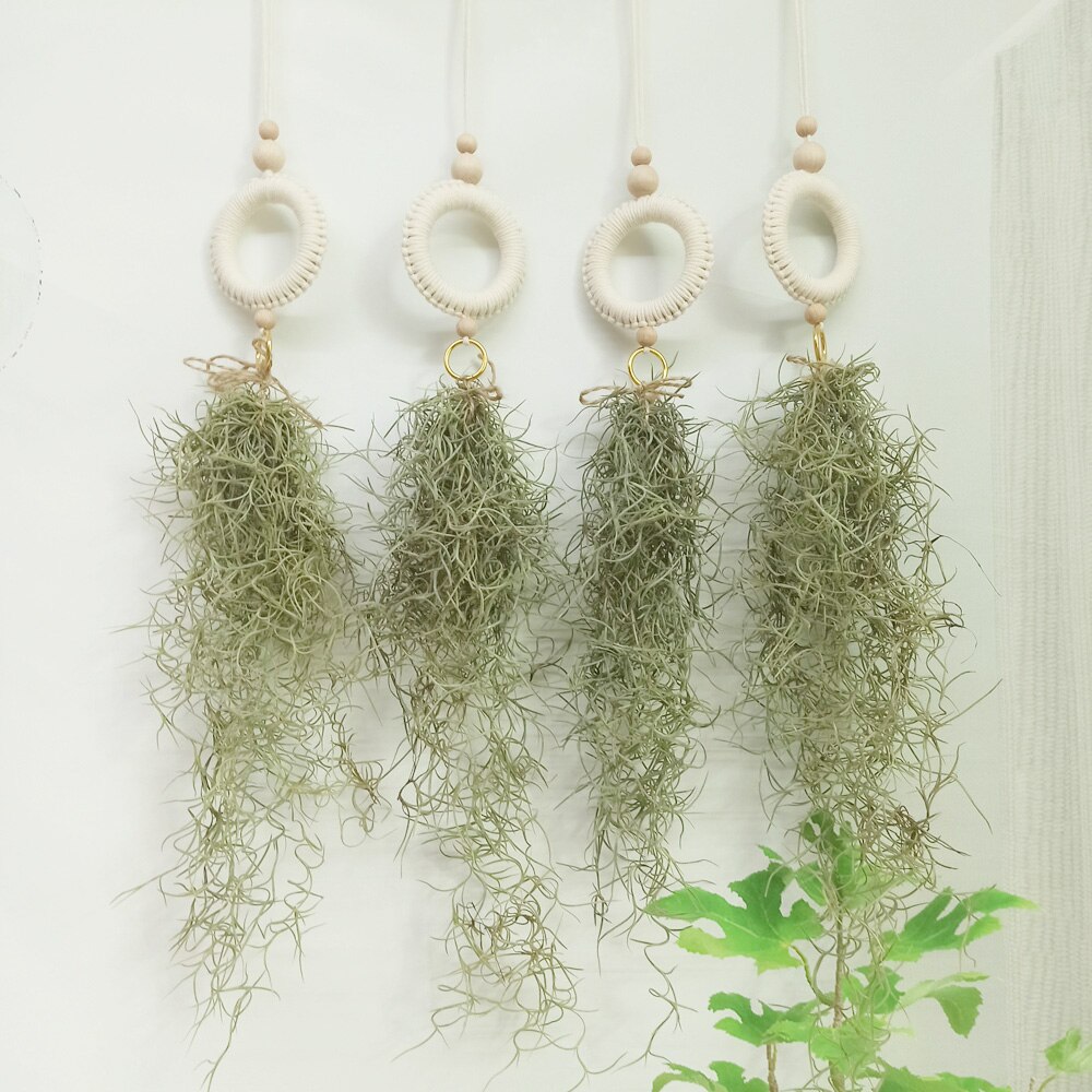 Soporte de macramé para plantas de aire, colgador para plantas de aire bonitas, Mini plantas suculentas, Tillandsia y plantas artificiales, tapiz de pared para decoración del hogar