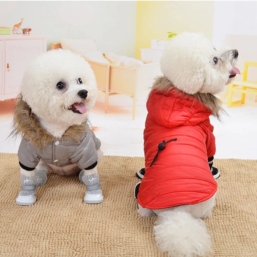 Middelgrote En Kleine Hooded Kleding Zachte Bont Kap Puppy Clothingwinter Warme Hond Jas Down Katoen Gewatteerde Jas