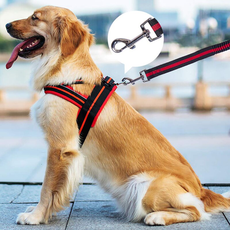 Benepaw højelastisk bungee hundesnor stærkt reb letvægts quick release nylon hvalpe hundesnor til små mellemstore hunde