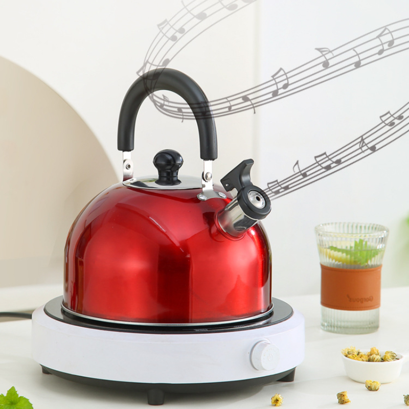 Stainless Steel Teapot Induction Cooker Heating Water Kettles Whistling Teapot for Travelling Camping Kettle Ergonomic Handle
