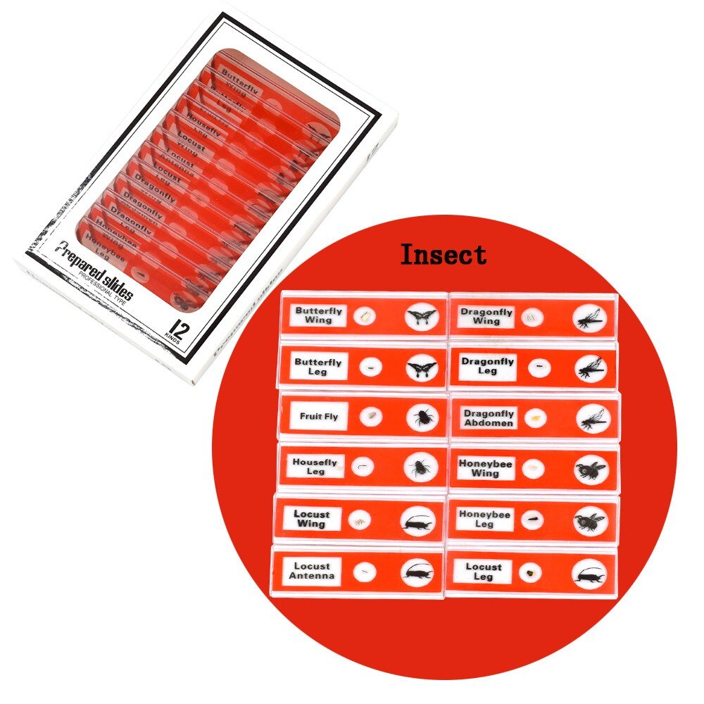 Chanseon 12pcs/set Plastic Microscope Slides Biological Specimen with for Children Student Microscope Enlighten Education: Red