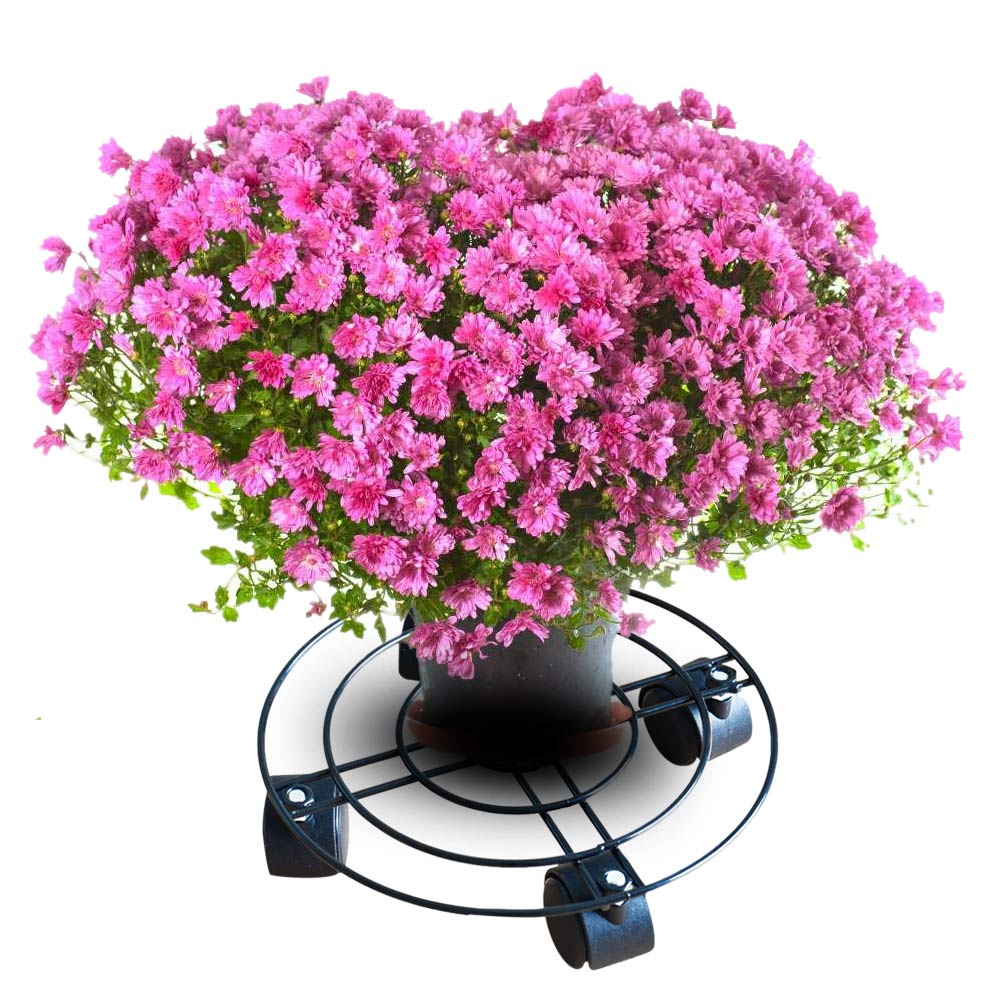 Neue Garten Zubehör Heimat drinnen draussen Blumentopf Tablett Mit Räder schwer Pflicht Pflanze Blume Topf Gestell Ständer