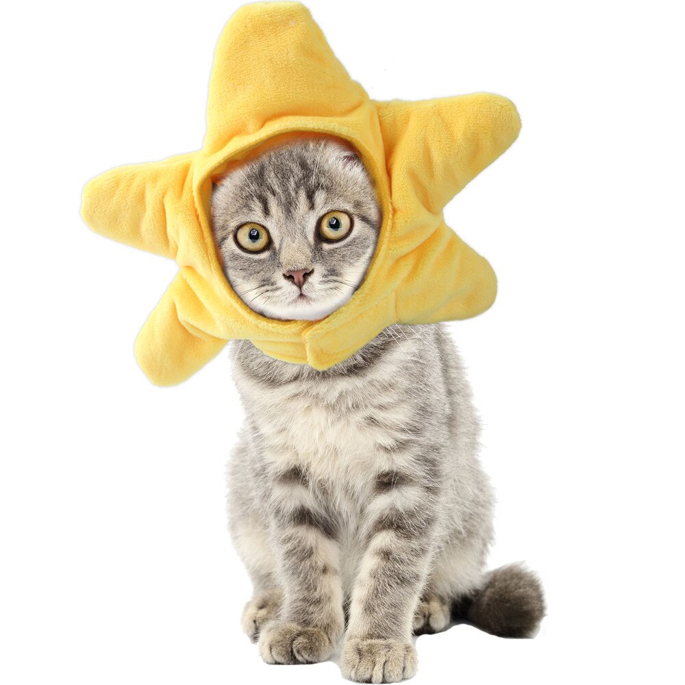 Cat Dog Hat Adorable Costume Frog Lion Mane Sunflower Banana Hat for Cats and Small Dogs Kitten Puppy Party Costume Accessory: Starfish