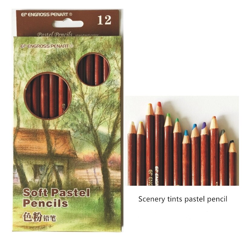 12Pcs Wood Pastel Pencil Set ,Basis Skin tints Pastel Color Pencil ,soft sketch art pastel pencil School Office art supplies