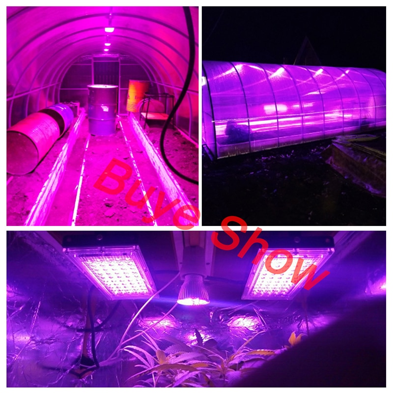 Luz LED de espectro completo para cultivo, lámpara Phyto de 220V, 50W, 100W con enchufe europeo, para invernadero, hidropónico, siembra de flores