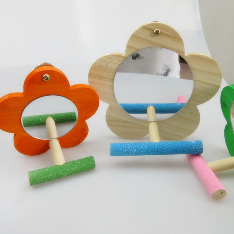 Miroir à perroquet pour oiseaux | Avec personnage pour Conure, Cage à sable, support de broyage de patte, couleur aléatoire 449E