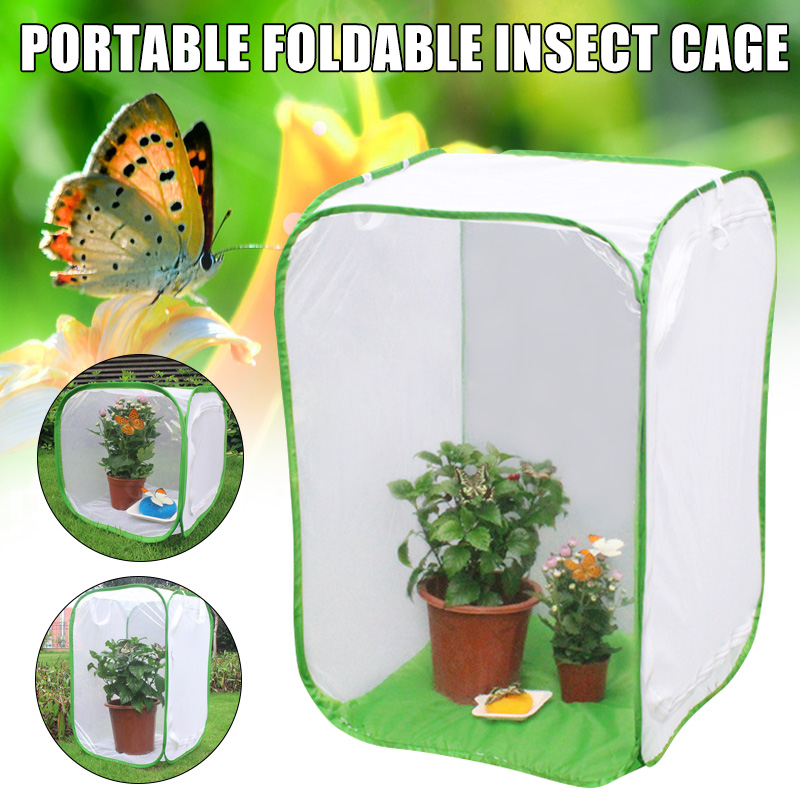 Insekt Schmetterling Kit Ursprünglichen Lebensraum Leben Wissenschaft Bildung Schmetterling Kit Faltbare Insekt Käfig Schmetterling Garten S7