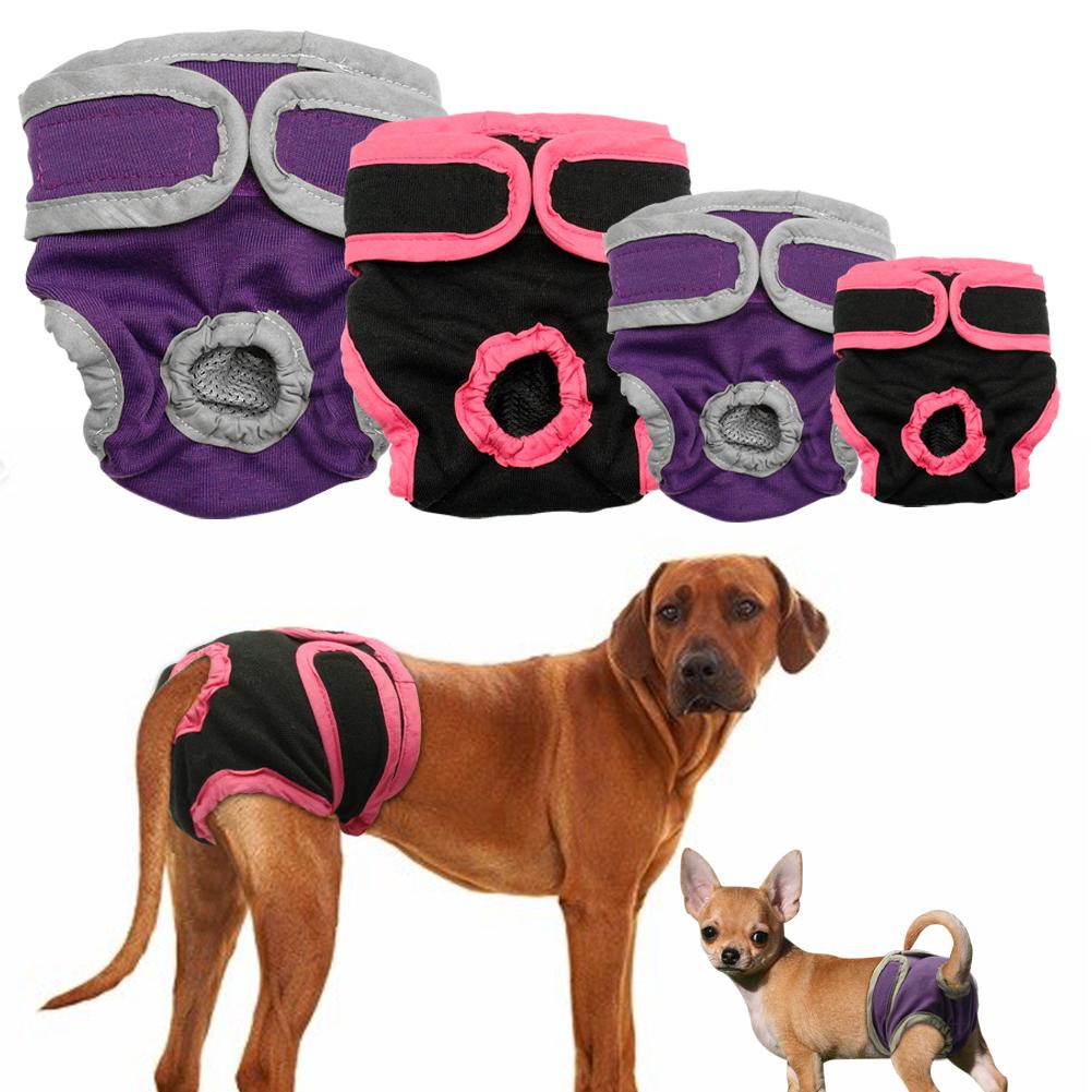 Pantalon physiologique pour chien, couche hygiénique lavable, sous-vêtements pour petits, moyens et grands chiots, pantalons pour chats