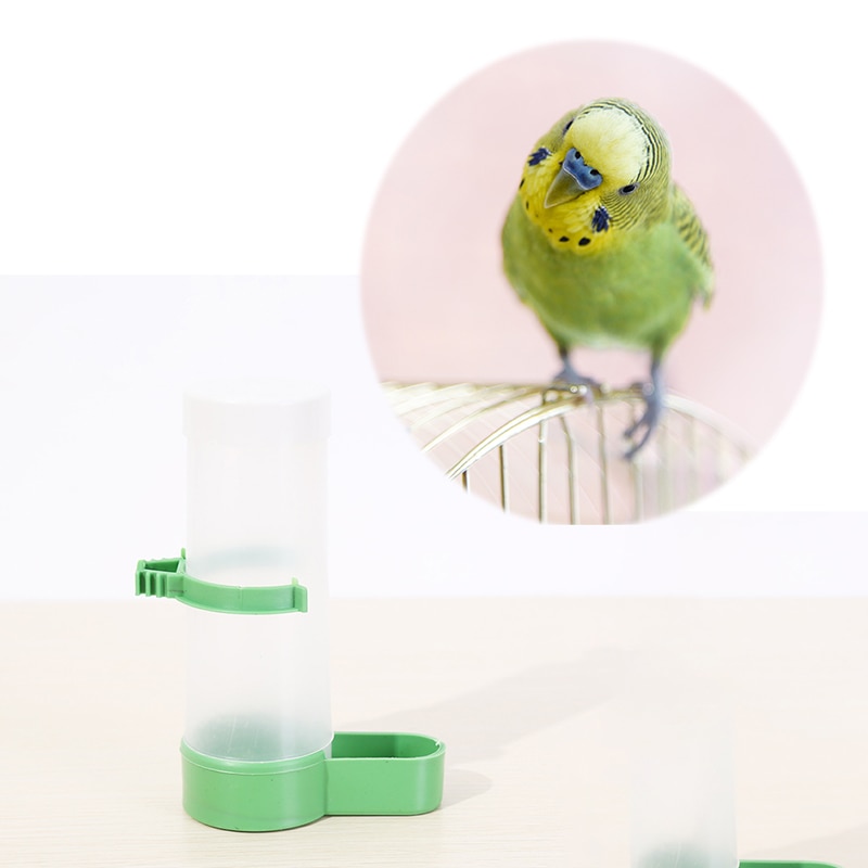 1pc Plastic squirrel bird seed water feeder tube garden indoor outdoor green/ white