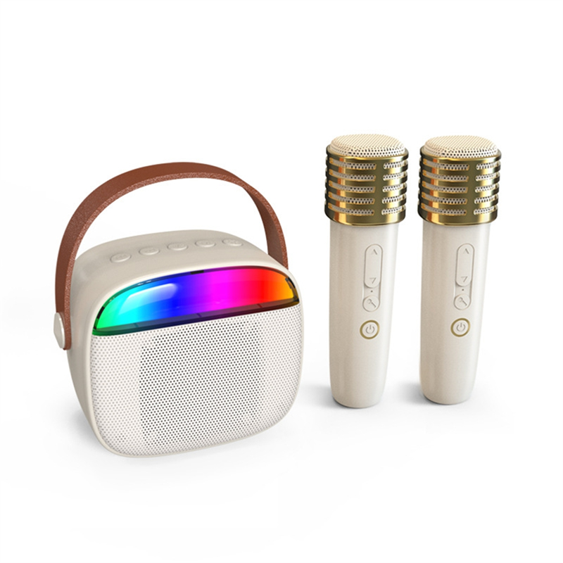CABE-Karaoke-Maschine, tragbar, mit 2 Bluetooth-Mikrofonen, für Erwachsene und freundlicher, unterstützt AUX, kommt Party mit Tragegriff