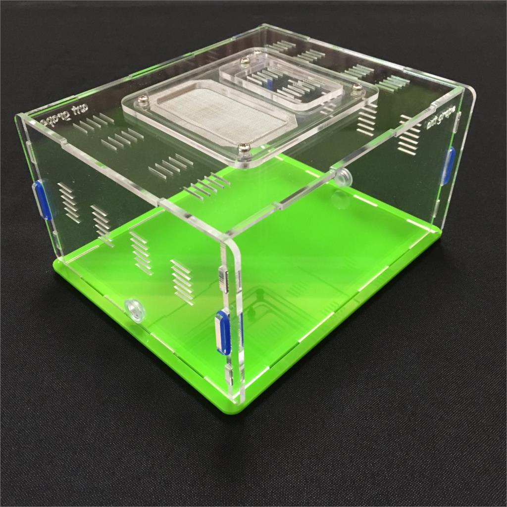 ant-grape series L size ant nest active area ,ant farm acryl, insect nests villa pet advanced mania for house ants: green