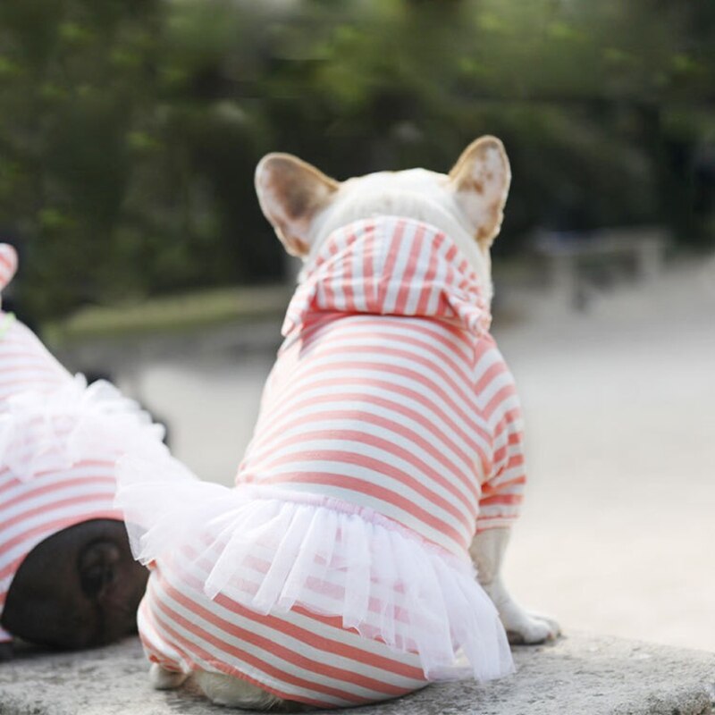 Sød fransk bulldog gris jumpsuit kjole kæledyr hund tøj små mellemstore hunde hvalpefrakke varm hættetrøje tøj chihuahua jakke xic 10
