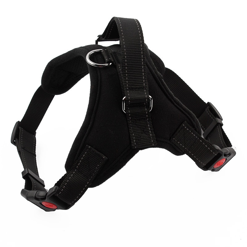 Laisse pour chien harnais réfléchissant corde moyen grand chien Golden Retriever Husky corde collier chaîne sangle de poitrine harnais fils