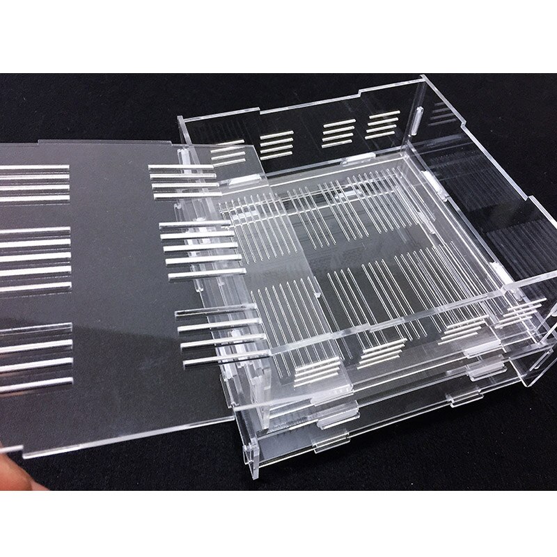Ant Breeding Box Acrylic Activity Area Transparent... – Vicedeal