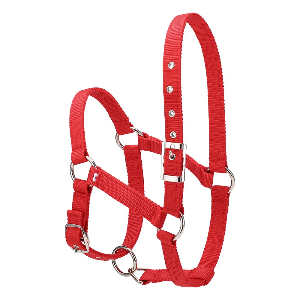 Collar de cabeza de caballo grueso de 6MM, brida ajustable de seguridad, accesorios de equipo de equitación, cuerda de caballo de plomo