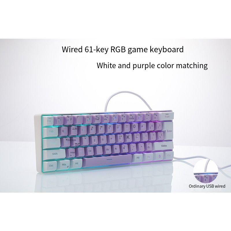 61 key notebook desktop wired gaming mini keyboard RGB illuminated keyboard: PURPLE