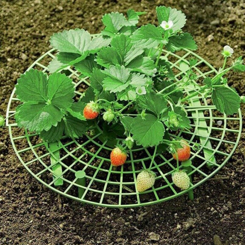 10 stuks aardbeienstandaard balkonbeplantingsrek fruitondersteuning houder bloem klimplant pilaar met plantenklem