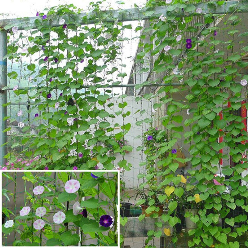 Garden Plants Climbing Trellis Netting Bean Fruits Vegetables Support Net