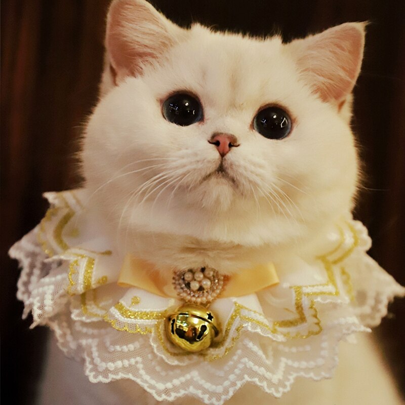Charmy Cinta de Oro gato Baberos dulce gatito Collar de perro, Collar de Bell bufanda para perro accesorios lindo correa para el cuello perrito Yorkie de trapo