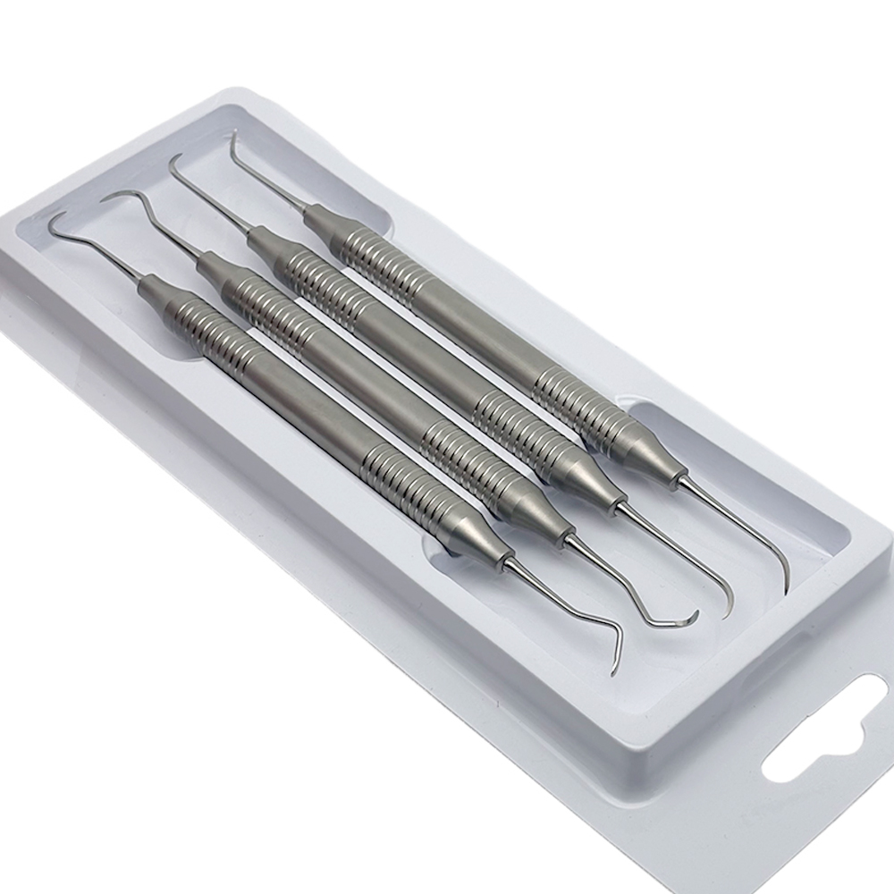 4Pcs/set Dental Tooth Scaler Kit Dental Double-Ended Teeth Cleaning Tool Stainless Steel Dentistry Instrument Tools: Default Title