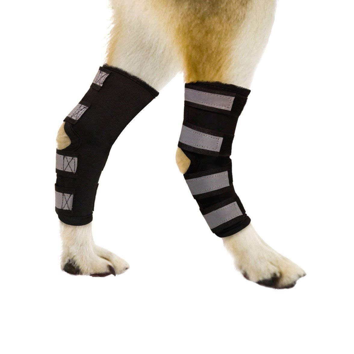 Par de perneras traseras para perro, manguitos de corvejón con cintas reflectantes para lesiones y protección para esguinces, cicatrización de heridas