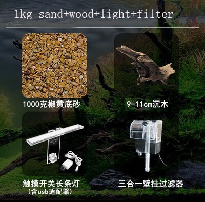 Pecera acrílica ultra blanca, acuario abierto, pequeña planta de agua, tortuga: tank accessories