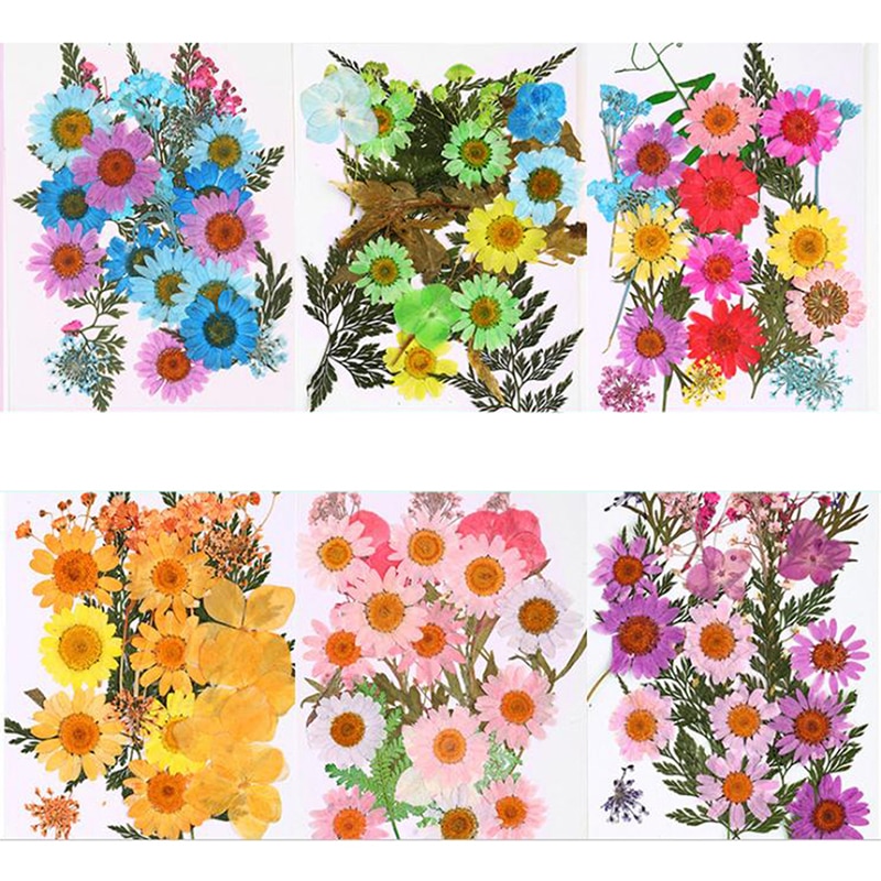 Dried Flowers specimen Pressed Scrapbook Bookmark Card DIY Art Craft Decor