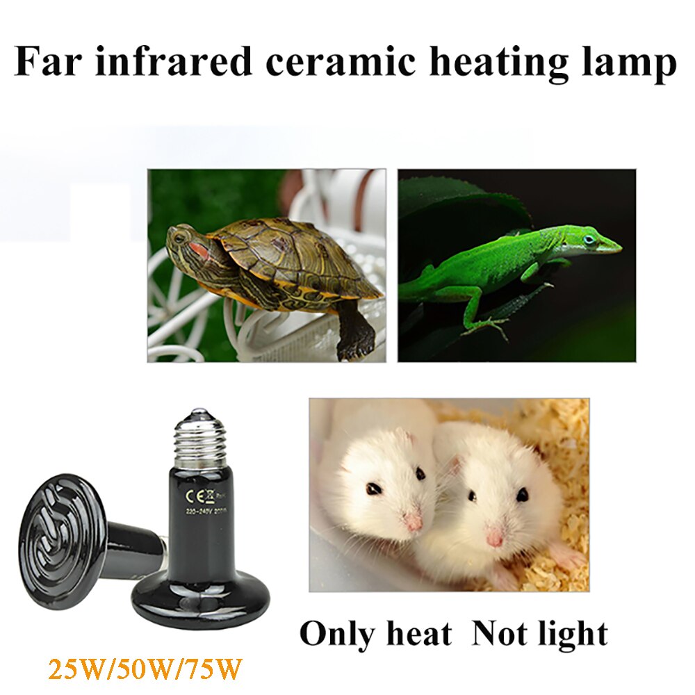 Lampe til skildpadde keramisk opvarmning opvarmet varme lampe krybdyr kæledyr krybdyr kæledyr produkter varmelegeme forsyninger tortugas ruger varmeapparater