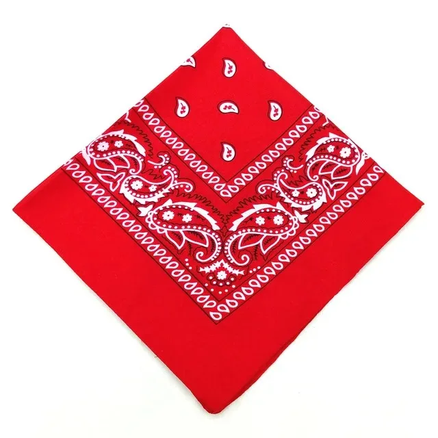 Hommes femmes bandana bandeau cowboy hommes motard sport chapeaux hip hop poignet bandeau simple face tête enveloppement écharpe: WHITE