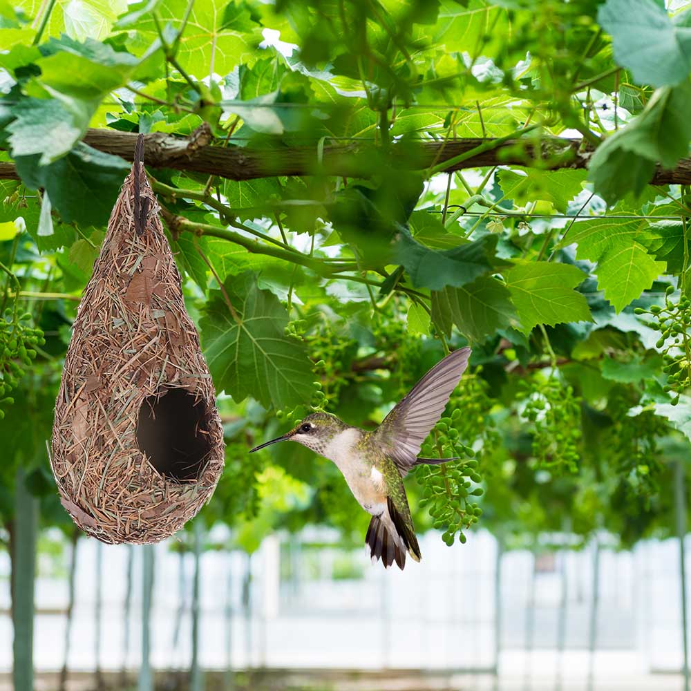 Natuurlijke Vogel Hut Voor Buiten Hand Geweven Roosting Nest Vogel Hut Voor Yard Decoratie Kolibrie Huis Vogel nest