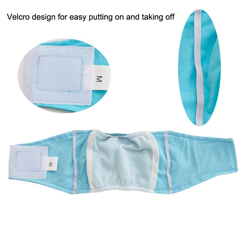 4 färg bra stor hundblöja sanitära fysiologiska byxor s-xl tvättbara shorts trosor mens underkläder trosor husdjur