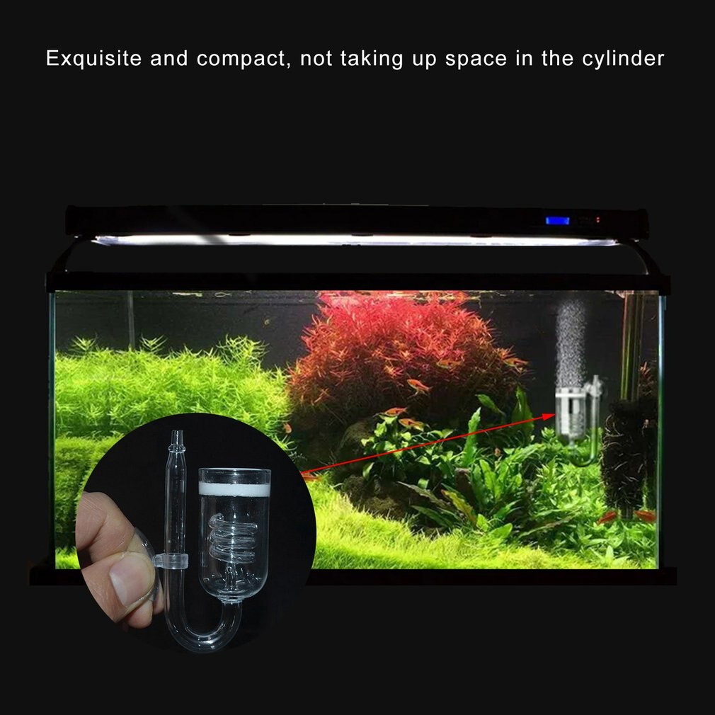 Glass Aquarium CO2 Diffuser Glass Tank Atomizer So... – Grandado