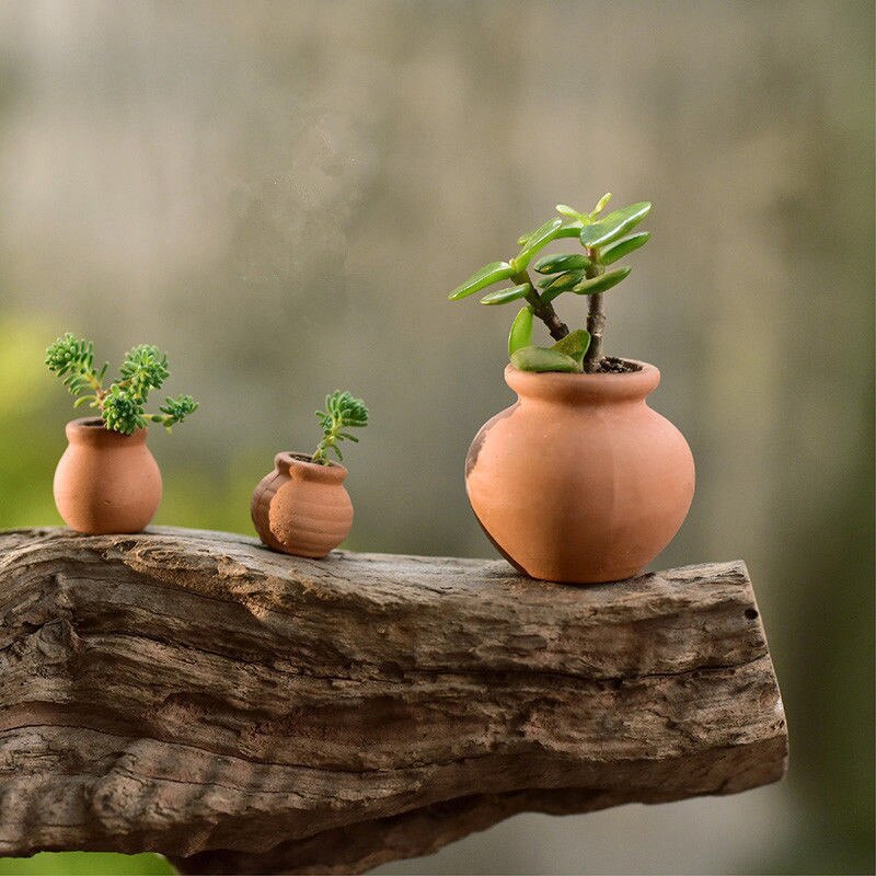 Mini Pot en terre cuite 2x petit, jardinière en céramique d'argile, Pots de jardin de fleurs
